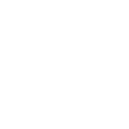 Typescript